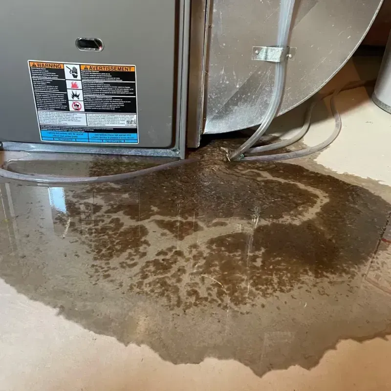 Appliance Leak Cleanup in Loudon, TN